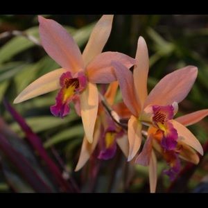 Meet your Posher, Bri